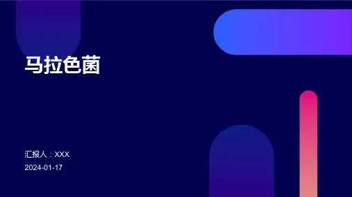 马拉色菌培训演示ppt课件