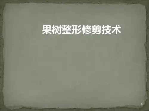 果树整形修剪技术5PPT课件