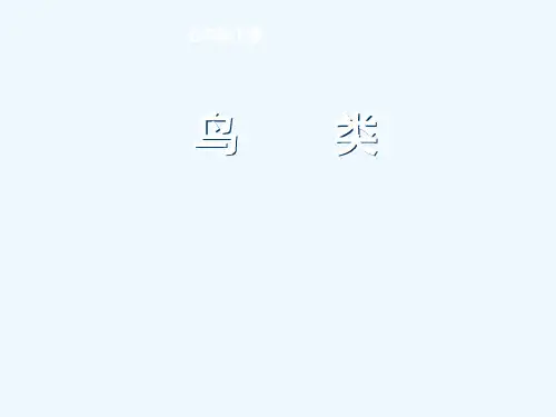苏科版七年级生物《鸟类》教学课件