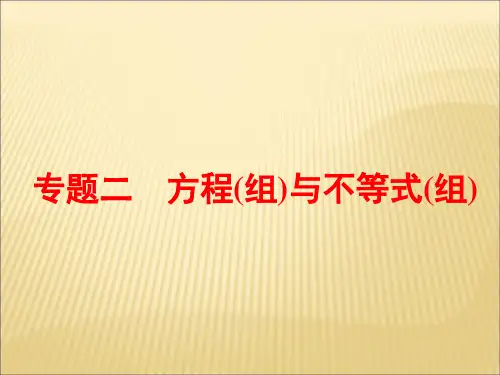 中考专题二 方程组与不等式组(共53张PPT)