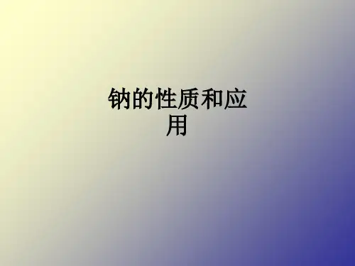 钠的性质和应用PPT课件