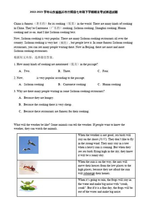 2022-2023学年山东省临沂市兰陵县七年级下学期期末考试英语试题