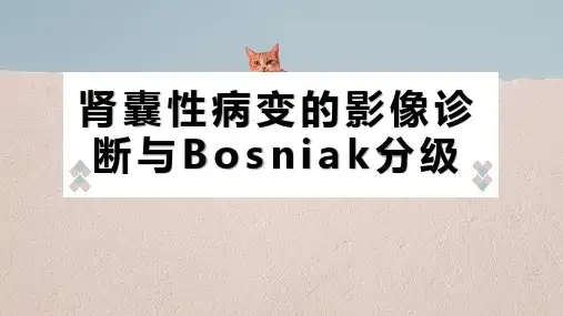 肾囊性病变的影像诊断与Bosniak分级
