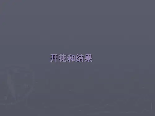 5.5植物的开花和结果 课件 (苏教版七上) (共52张PPT)