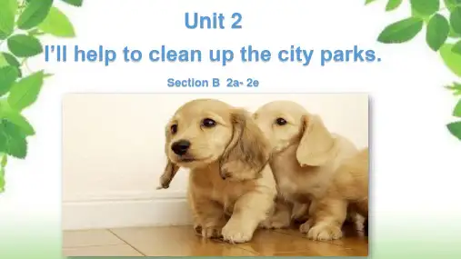 八年级英下人教版Unit2 SectionB (2a- 2e)(共25张PPT)