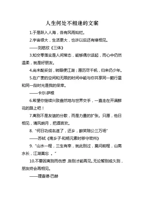人生何处不相逢的文案