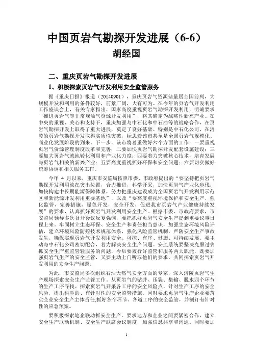 中国页岩气勘探开发进展(6-6)