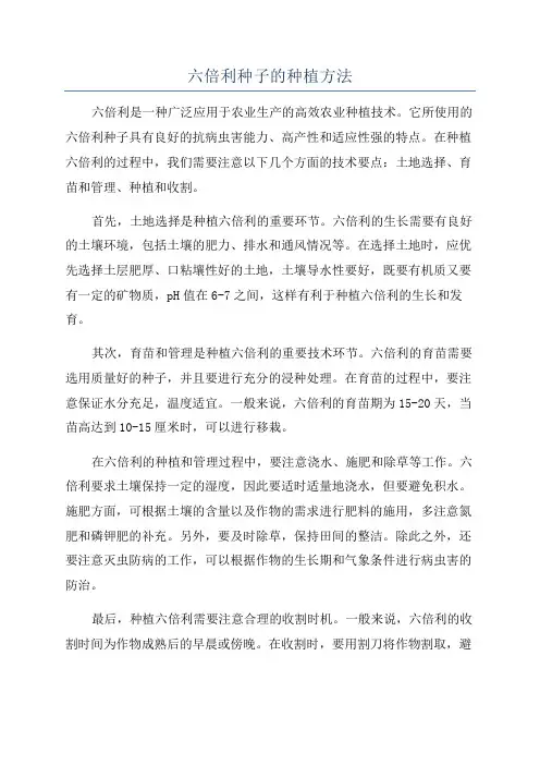 六倍利种子的种植方法