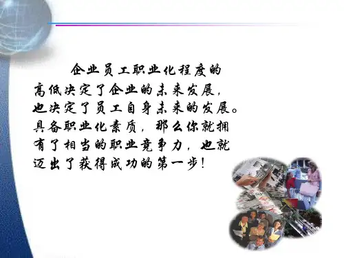 提升团队职业化素质PPT62页csvo