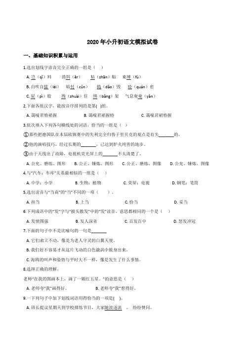 2020年小升初语文模拟试卷 (含答案)