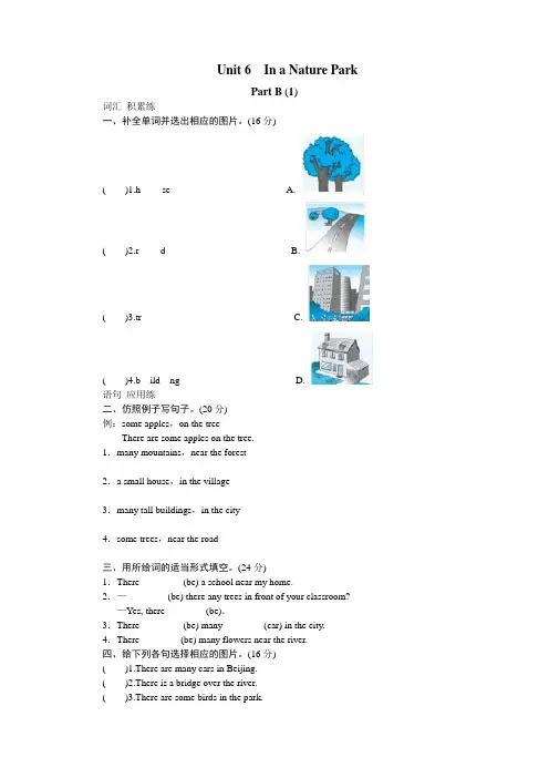 五年级英语上册Unit 6 In a nature park-PartB试题及答案 (1)