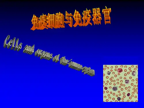 免疫细胞免疫器官PPT演示课件