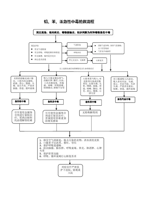 铅、苯、汞急性中毒抢救流程