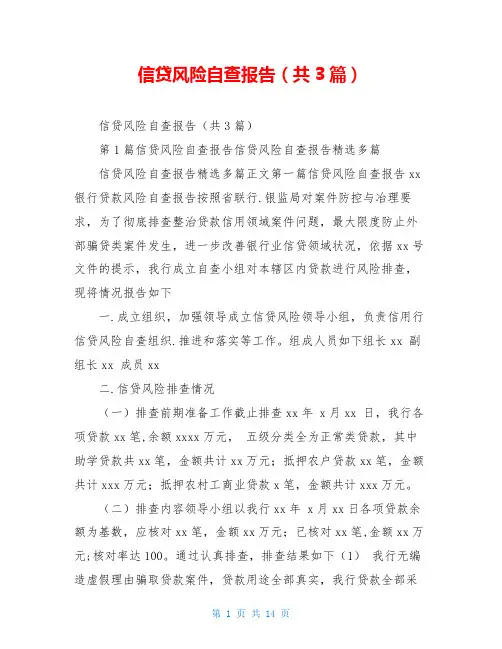 信贷风险自查报告(共3篇)