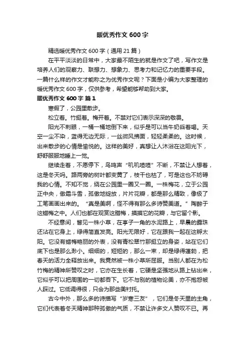 暖优秀作文600字