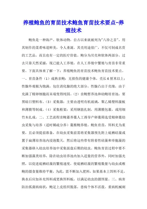 养殖鲍鱼的育苗技术 鲍鱼育苗技术要点 - 养殖技术