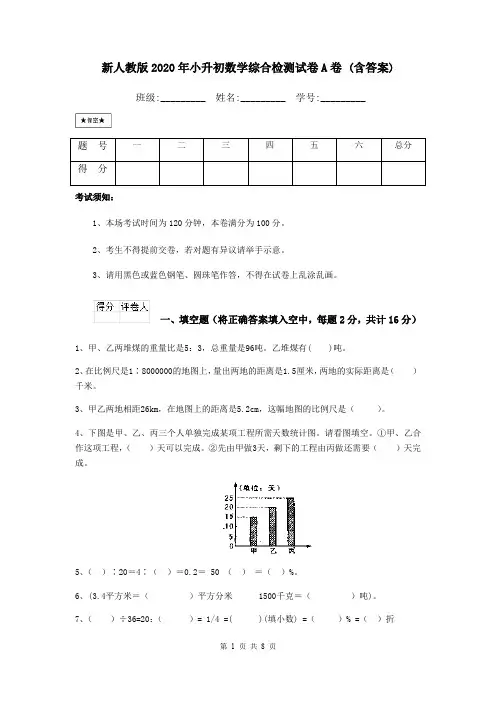 新人教版2020年小升初数学综合检测试卷A卷 (含答案)