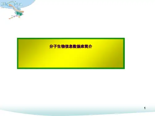 生物信息数据库ppt课件