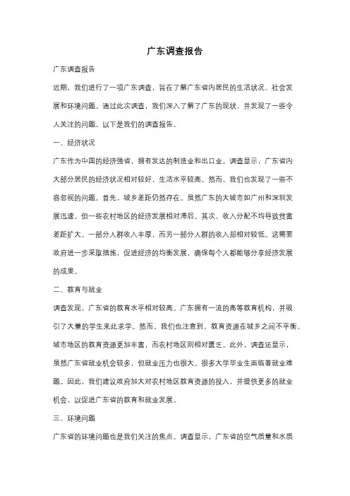 广东调查报告