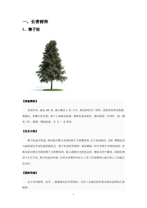 北方常见树种统计—乔木部分.