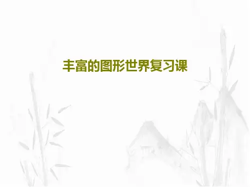 丰富的图形世界复习课44页PPT