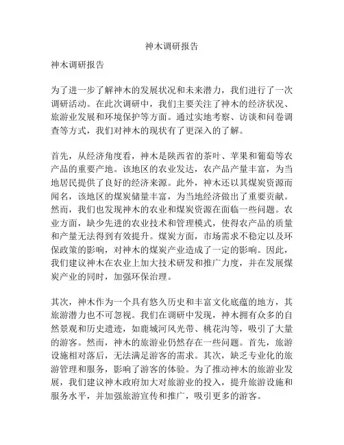 神木调研报告