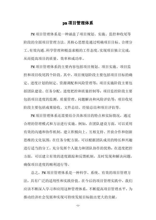 pm项目管理体系