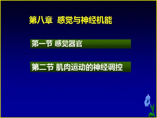 解剖学8-2