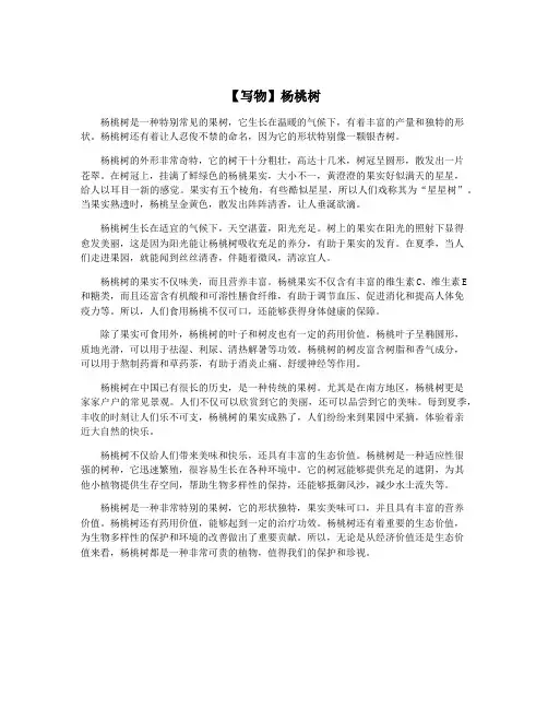 【写物】杨桃树