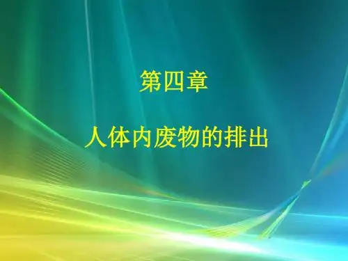 七年级生物下册第四章人体内废物的排出课件济南版