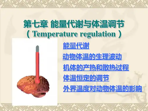 《生理学》第七章 能量代谢与体温调节
