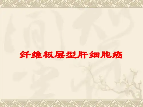 纤维板层型肝细胞癌培训课件