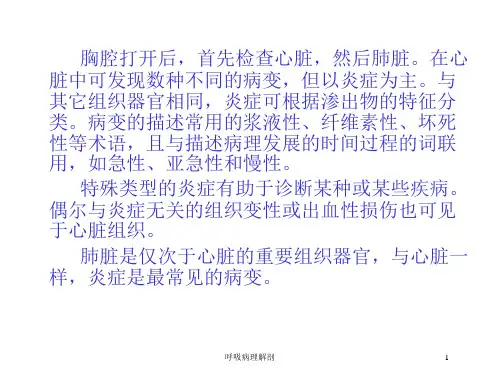 呼吸病理解剖培训课件