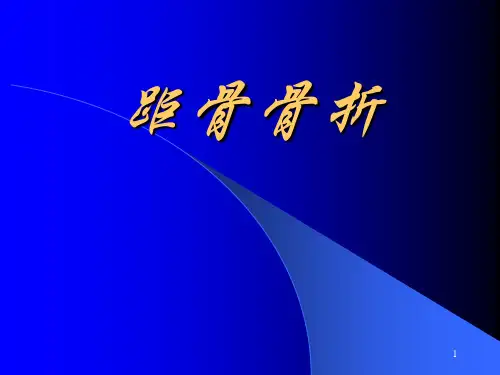 距骨的解剖 ppt课件