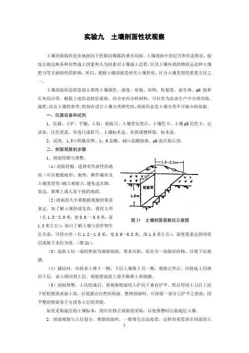 试验九土壤剖面性状观察