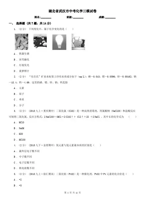 湖北省武汉市中考化学三模试卷