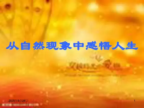 从自然现象中感悟人生PPT课件