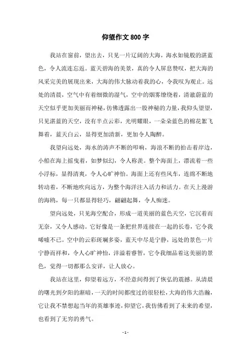 仰望作文800字
