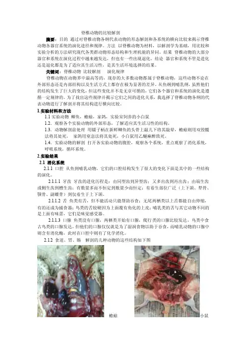 脊椎动物的比较解剖