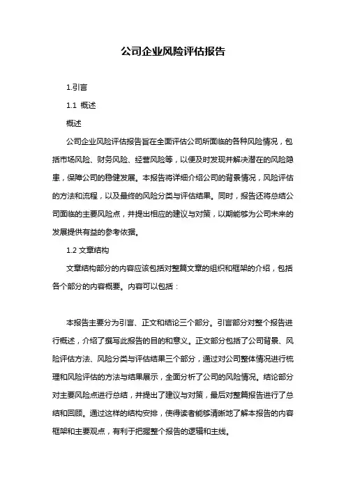 公司企业风险评估报告