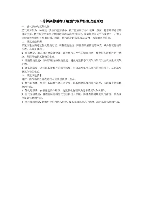 5分钟染你透彻了解燃气锅炉低氮改造原理