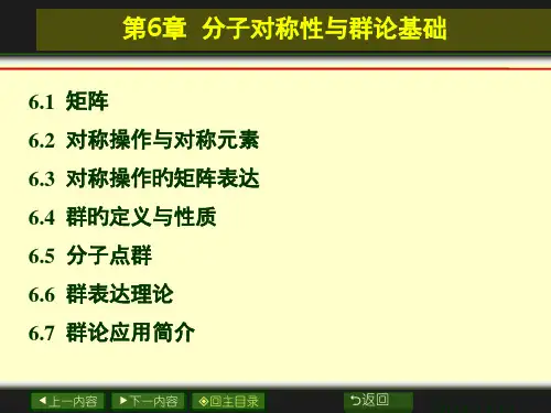 分子对称性与群论基础