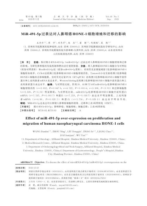 MiR-491-5p_过表达对人鼻咽癌HONE-1_细胞增殖和迁移的影响