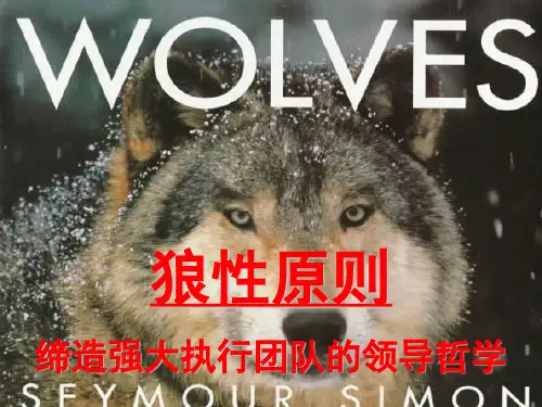 打造狼性团队-主管ppt课件