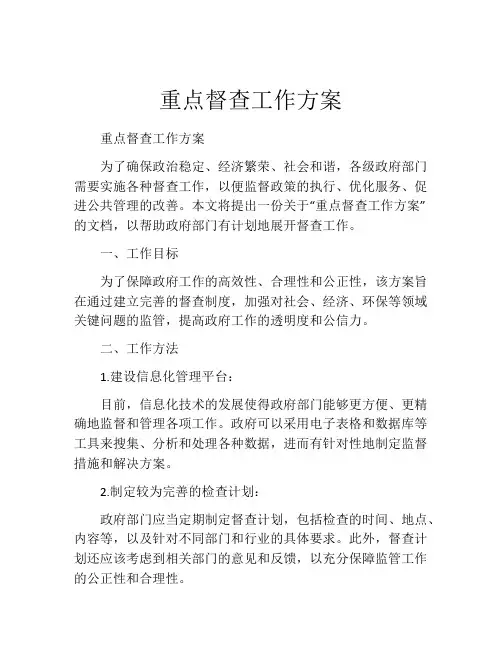 重点督查工作方案