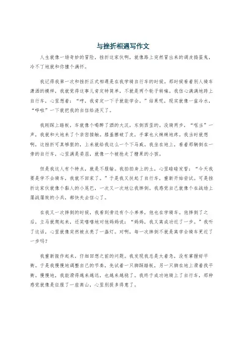 与挫折相遇写作文