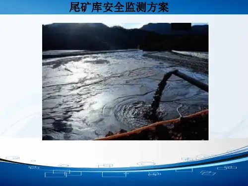 尾矿库安全监测