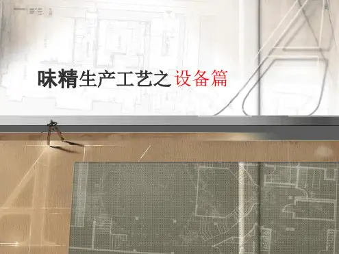 味精生产工艺及设备篇