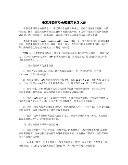 番茄斑萎病毒系统侵染我国大蒜
