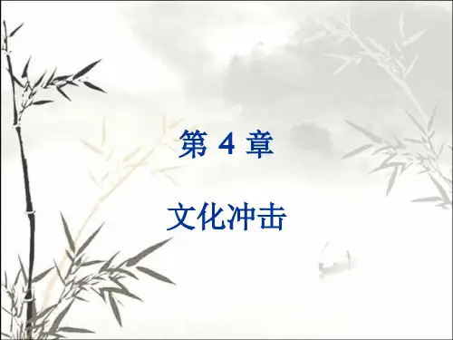 文化冲击 PPT课件